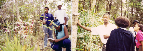 Community youth learn about natural heritage at Holywell
