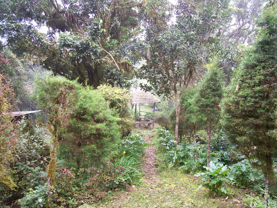 Portland Gap