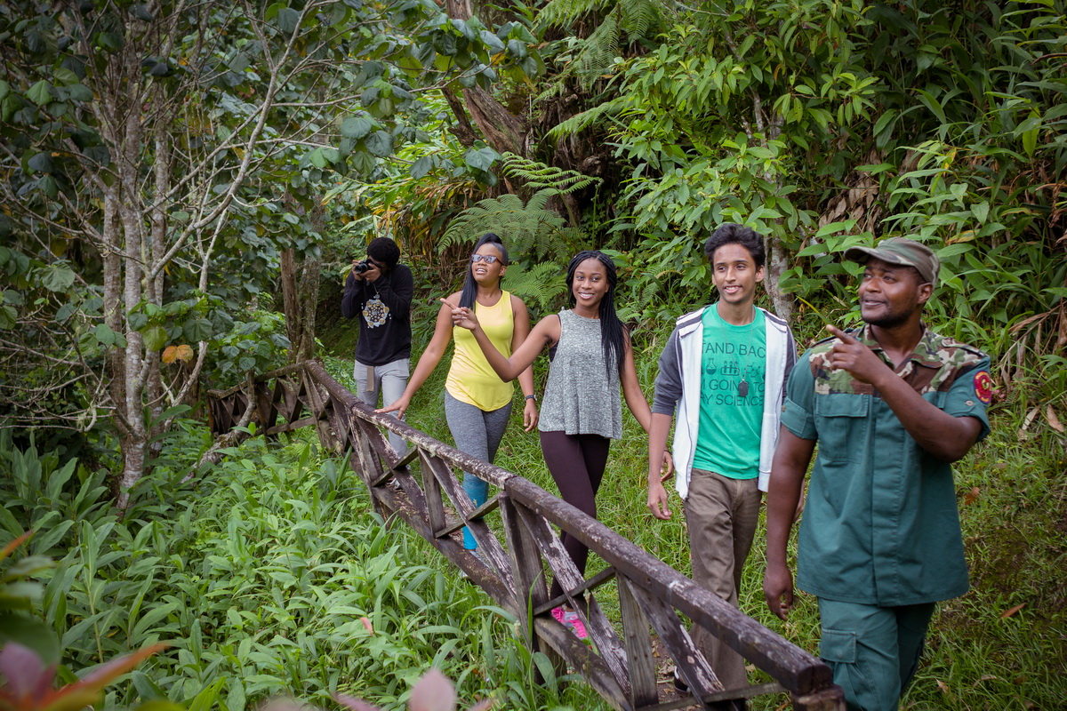 Blue Mahoe Trail