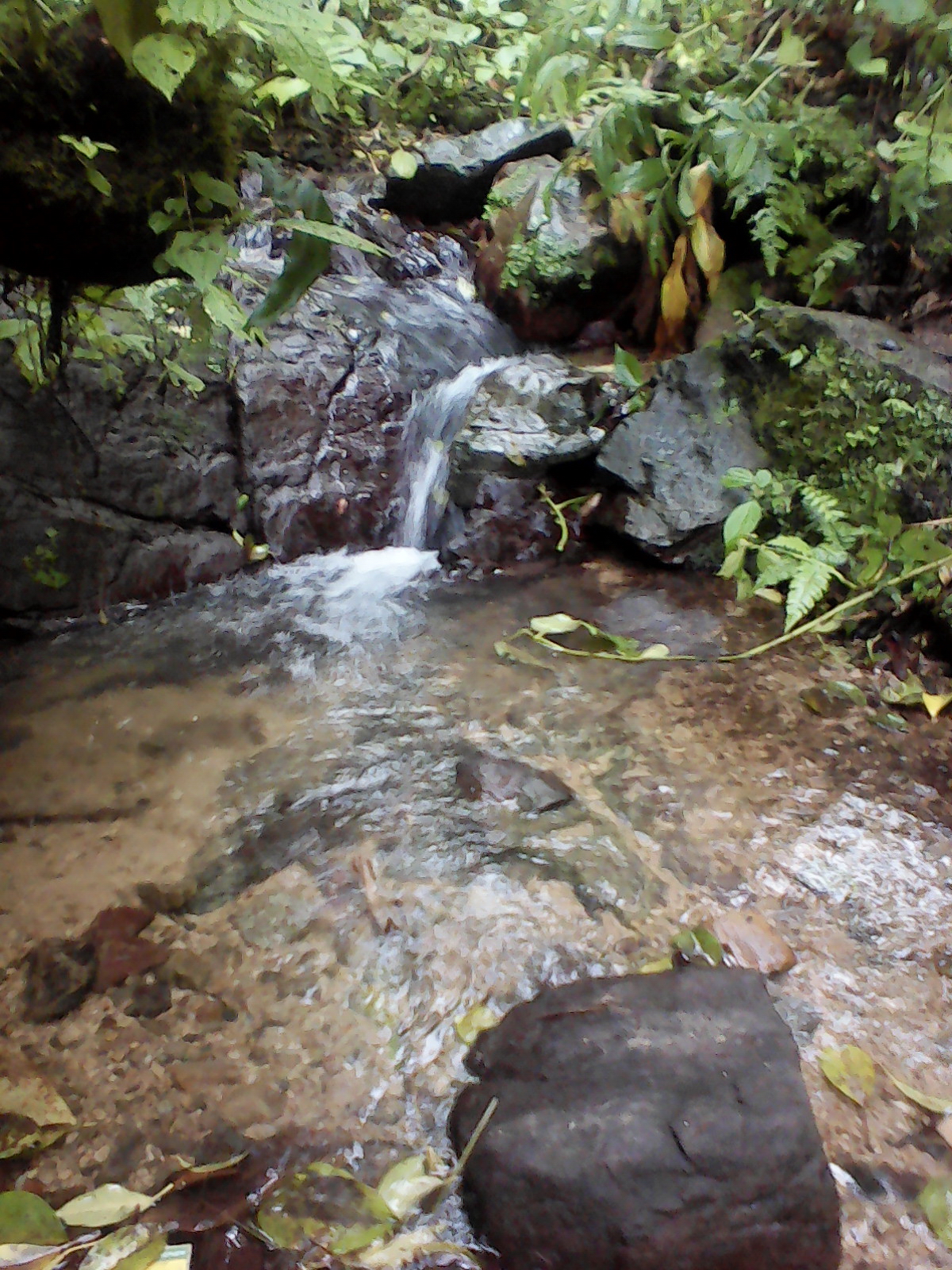 Wagwater Trail