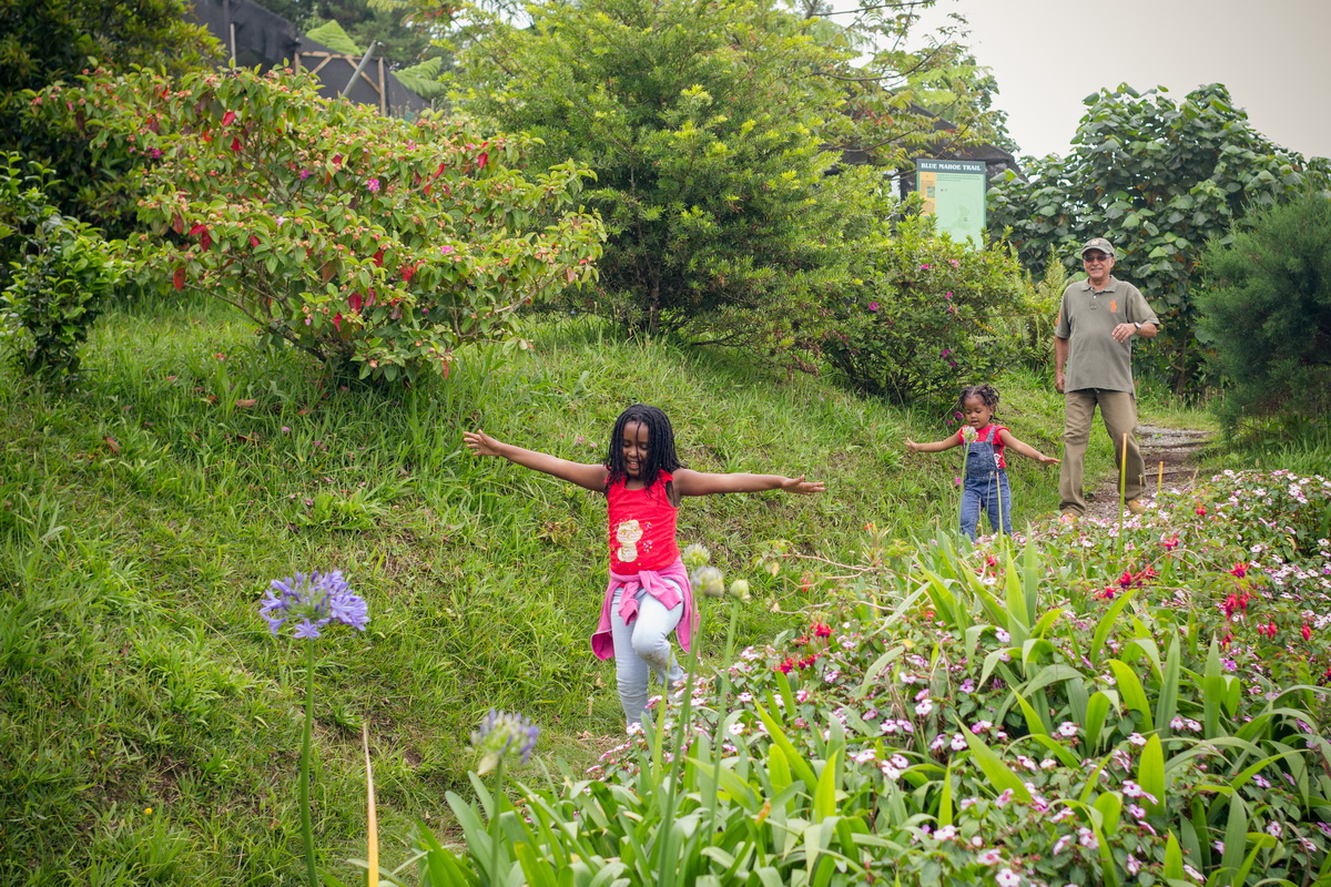 Holywell Nature Walks